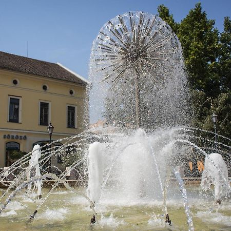 Marusius Apartmanhaz Makó Zewnętrze zdjęcie